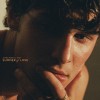 SHAWN MENDES, TAINY — SUMMER OF LOVE
